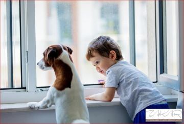 Termoizolační folie na okna Beroun